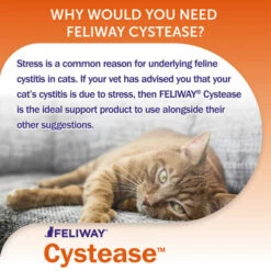 Feliway Cystease Advanced Urinary Tract Supplement -Outlet MedicAnimal Store I0040254 en 07