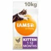 IAMS Kitten & Junior -Outlet MedicAnimal Store I0041903 en