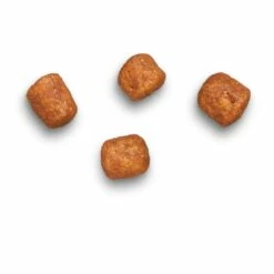 James Wellbeloved Complete Adult Hairball Dry Cat Food - Turkey 14 James Wellbeloved Complete Adult Hairball Dry Cat Food - Turkey -Outlet MedicAnimal Store I0042138 en 04