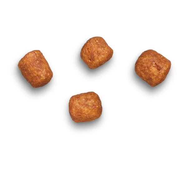 James Wellbeloved Complete Adult Hairball Dry Cat Food - Turkey 6 James Wellbeloved Complete Adult Hairball Dry Cat Food - Turkey - Image 6