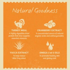 James Wellbeloved Complete Adult Hairball Dry Cat Food - Turkey 12 James Wellbeloved Complete Adult Hairball Dry Cat Food - Turkey -Outlet MedicAnimal Store I0042138 en 06