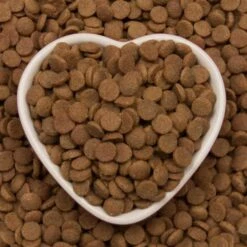 Meowing Heads Paw Lickin' Chicken Adult Dry Cat Food