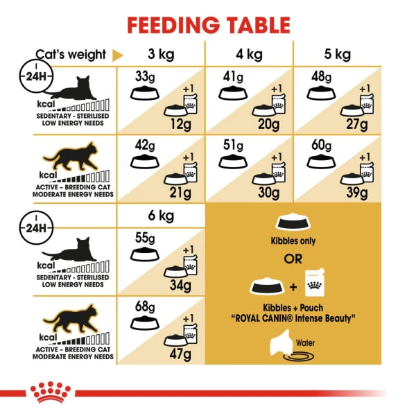 Royal Canin Siamese Adult Dry Cat Food 2 Royal Canin Siamese Adult Dry Cat Food - Image 2