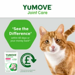 Yumove Cat Triple Action Joint Supplement -Outlet MedicAnimal Store I9101068 en 05