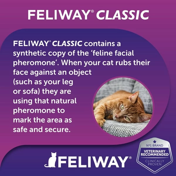 Feliway Classic Refill Diffuser 2 Feliway Classic Refill Diffuser - Image 2