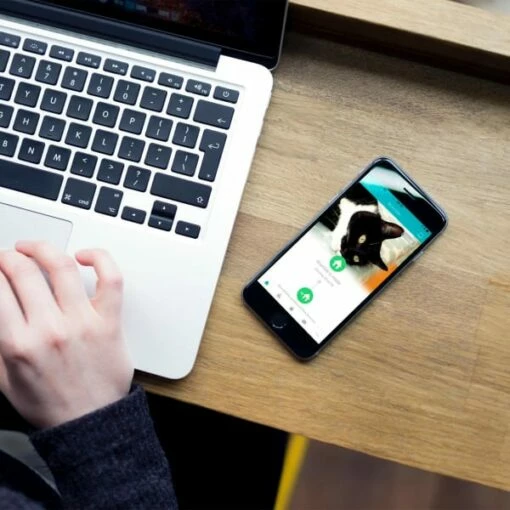 SureFlap Microchip Pet Door Connect -Outlet MedicAnimal Store I9522754 07