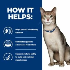 Hill's Prescription Diet K/d Kidney Care Adult And Senior Dry Cat Food - Tuna -Outlet MedicAnimal Store I9568282 en 05