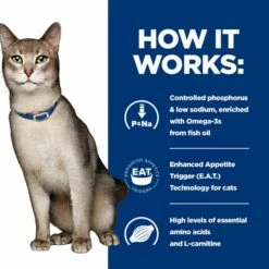 Hill's Prescription Diet K/d Kidney Care Adult And Senior Dry Cat Food - Tuna -Outlet MedicAnimal Store I9568282 en 06
