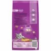 Whiskas 1+ Cat Complete Dry With Chicken -Outlet MedicAnimal Store I9673300 en 11